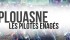 FFM BRETAGNE: Qui à Plouasne ? plouasneengage